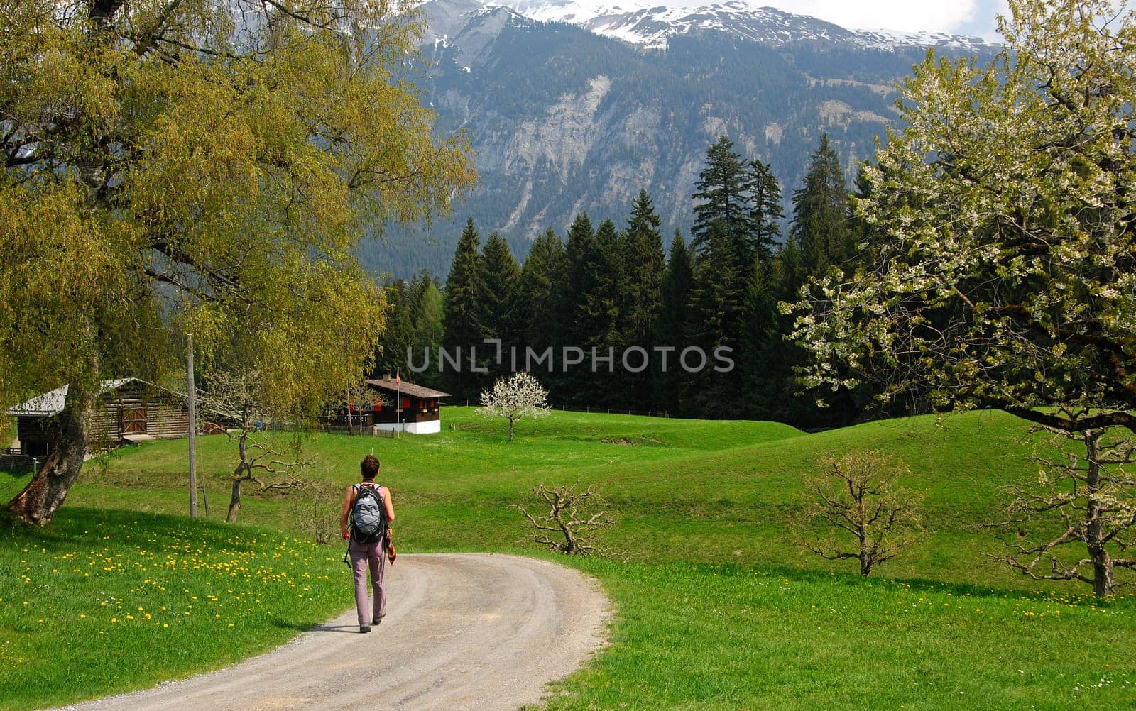 Spring walk