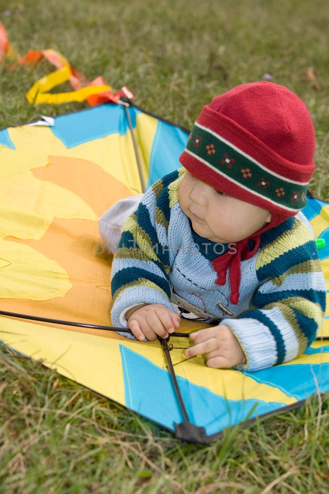 kite flying