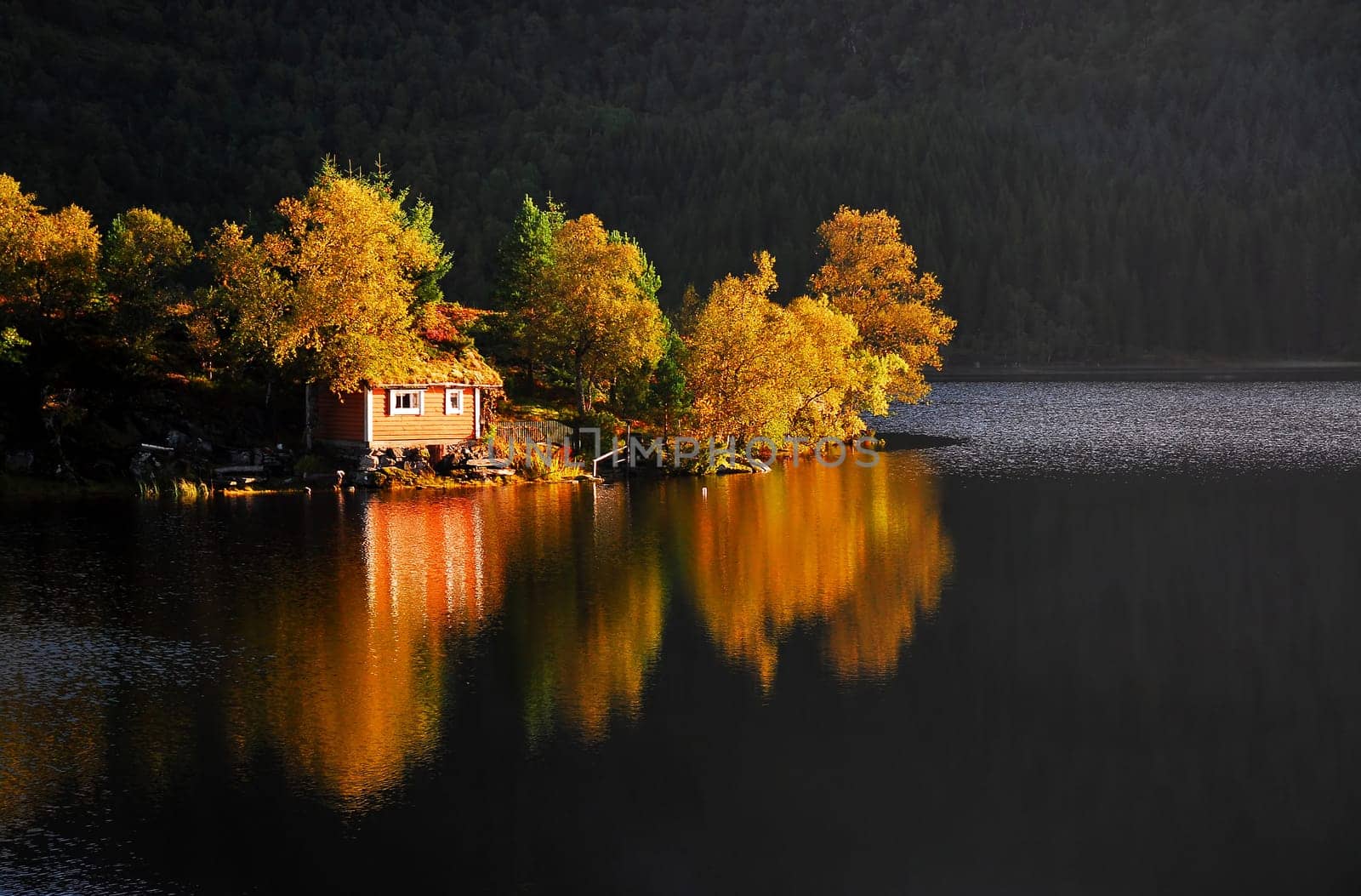 However,when the sun showed up for a short time,the typical autumn color came out!:-)