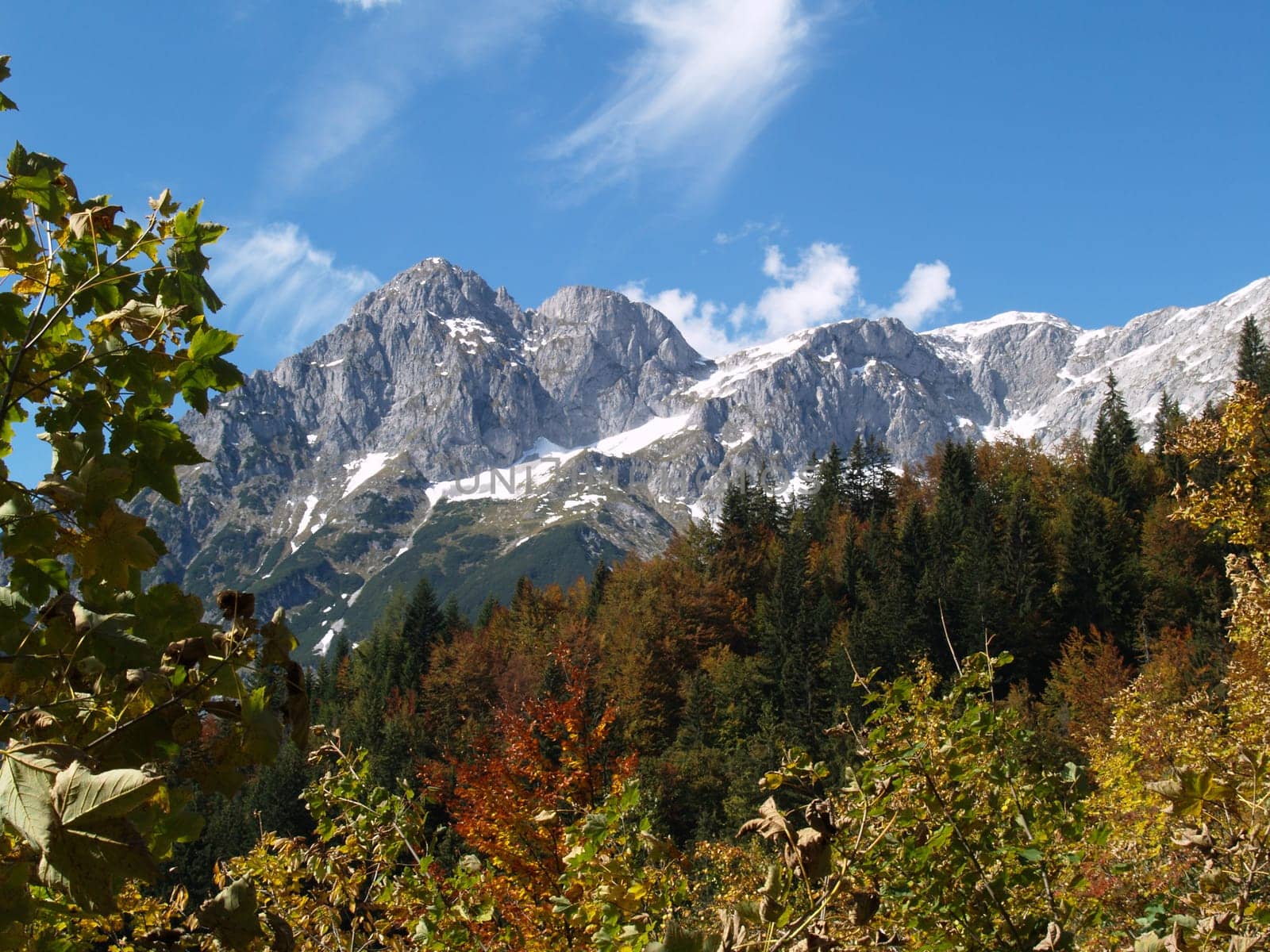Autumn Mountain Landscape