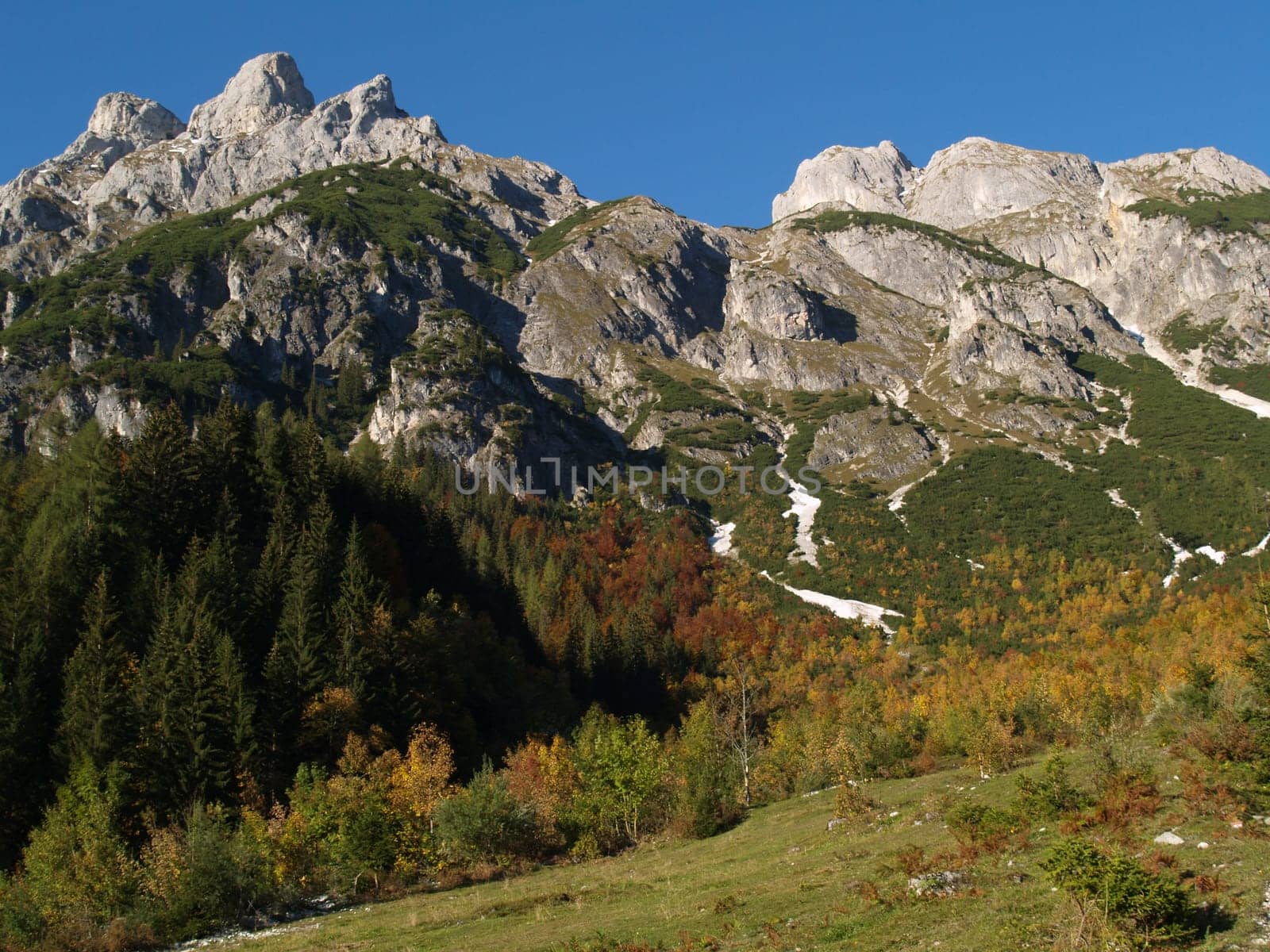Autumn Mountain Landscape