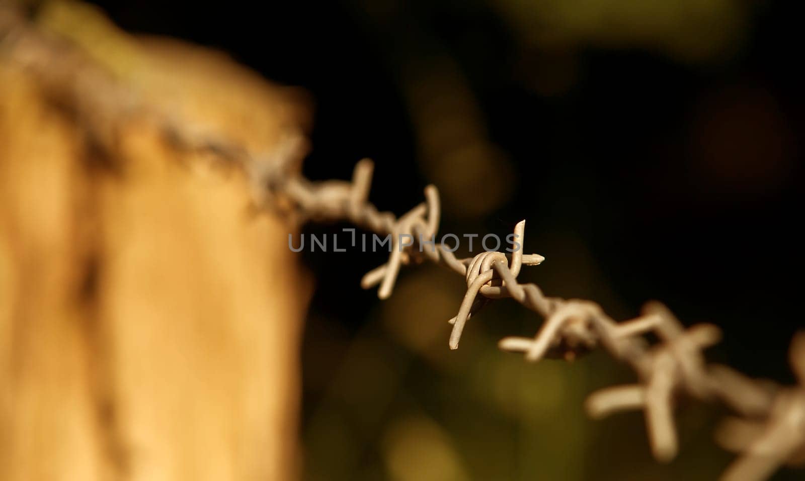 Border