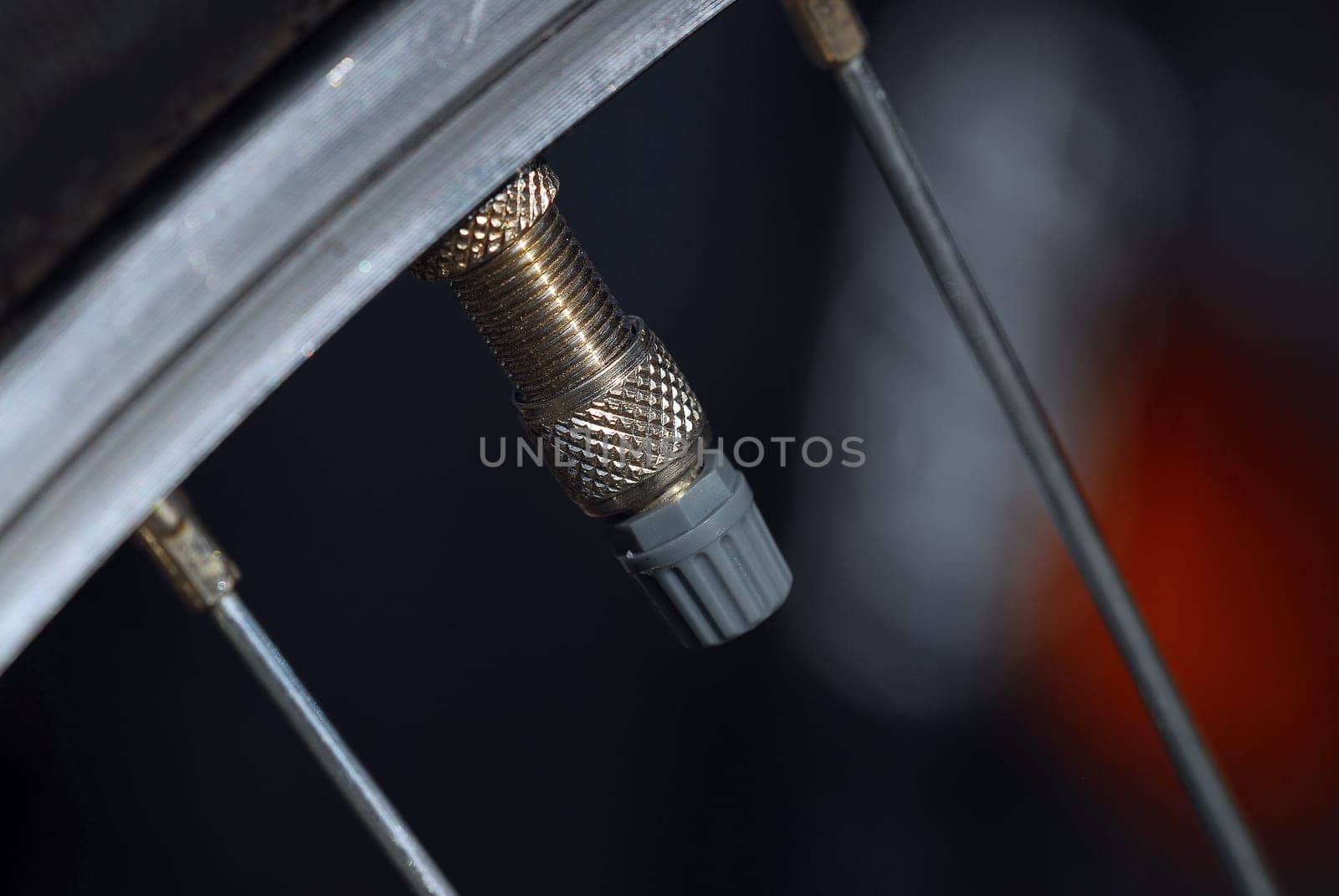 Bicycle valve