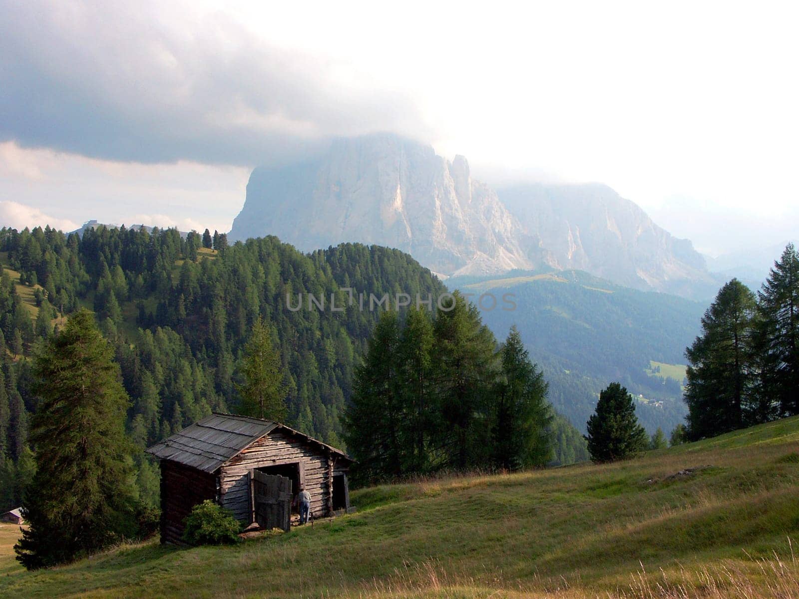 Alpine hut