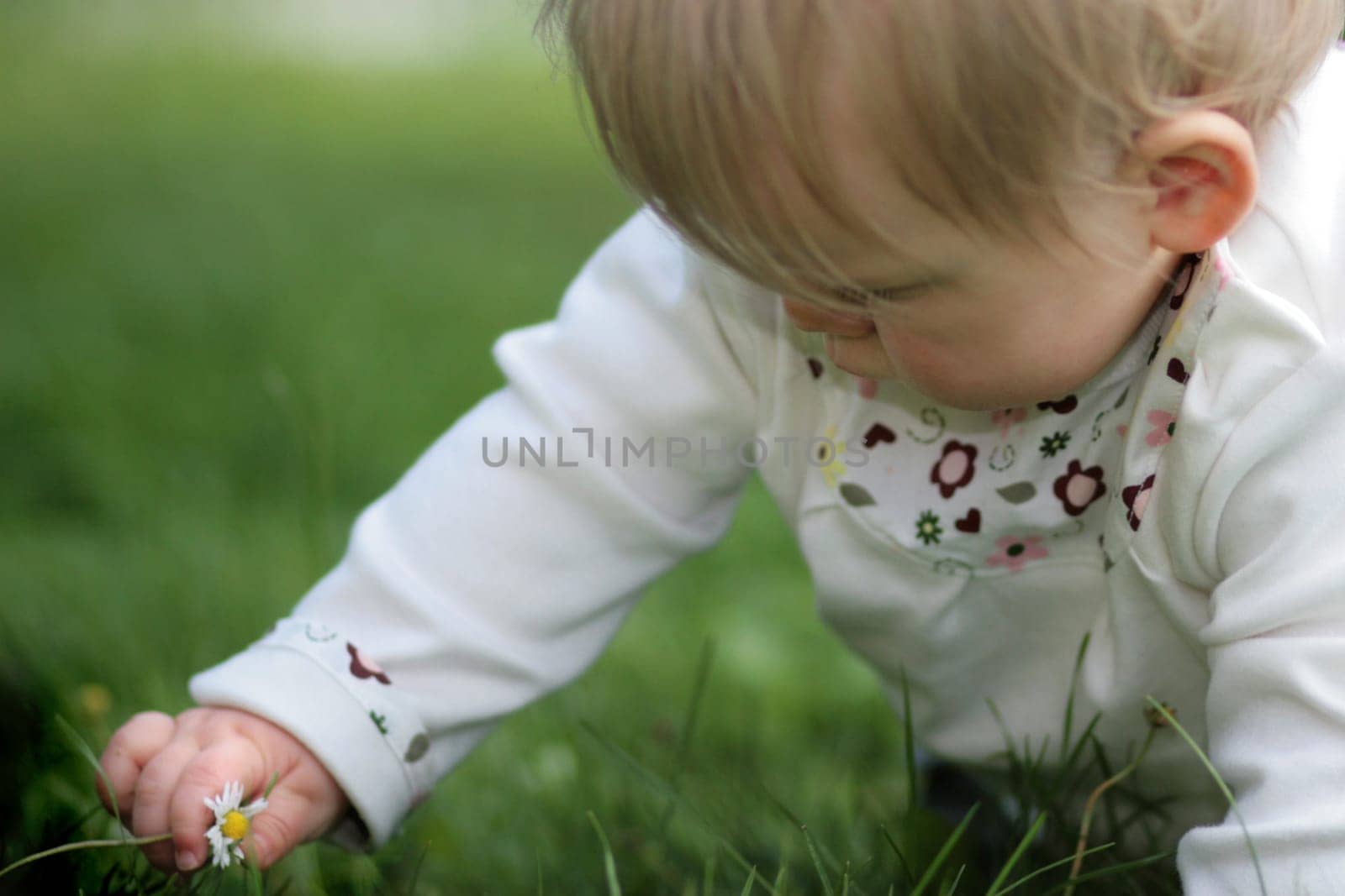 Baby picks flowers