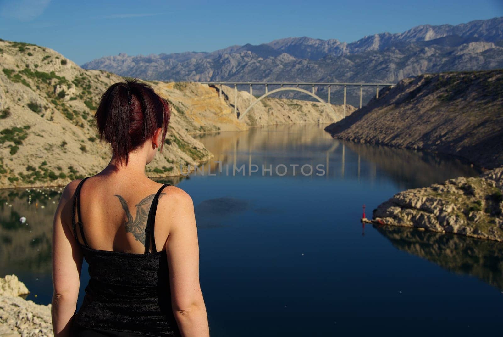 Novigrad Sea Highway Bridge 07