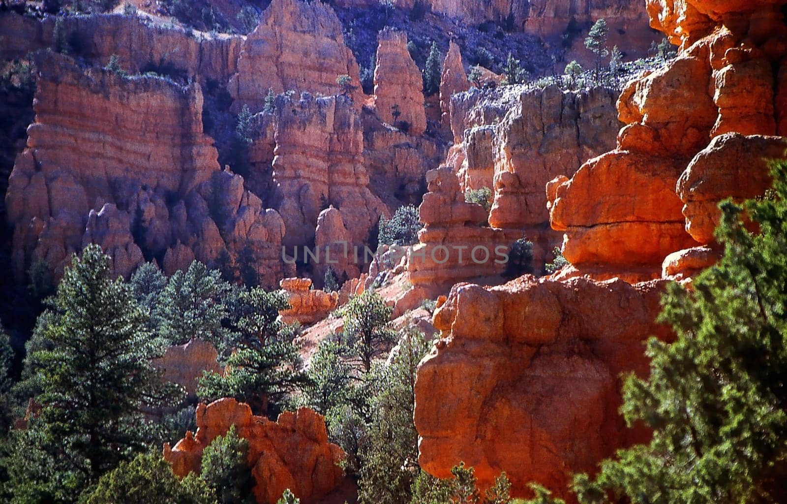 Red canyon 1