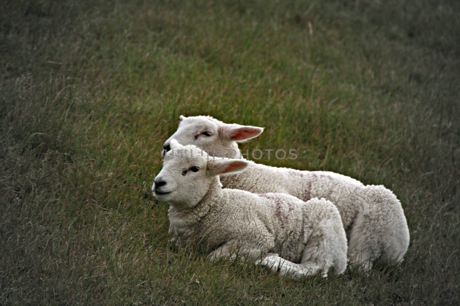Togetherness