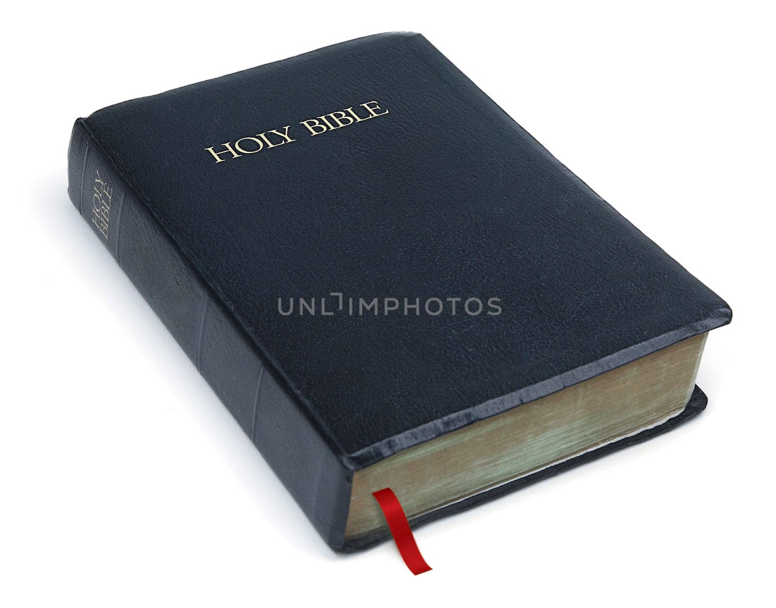 Holy Bible