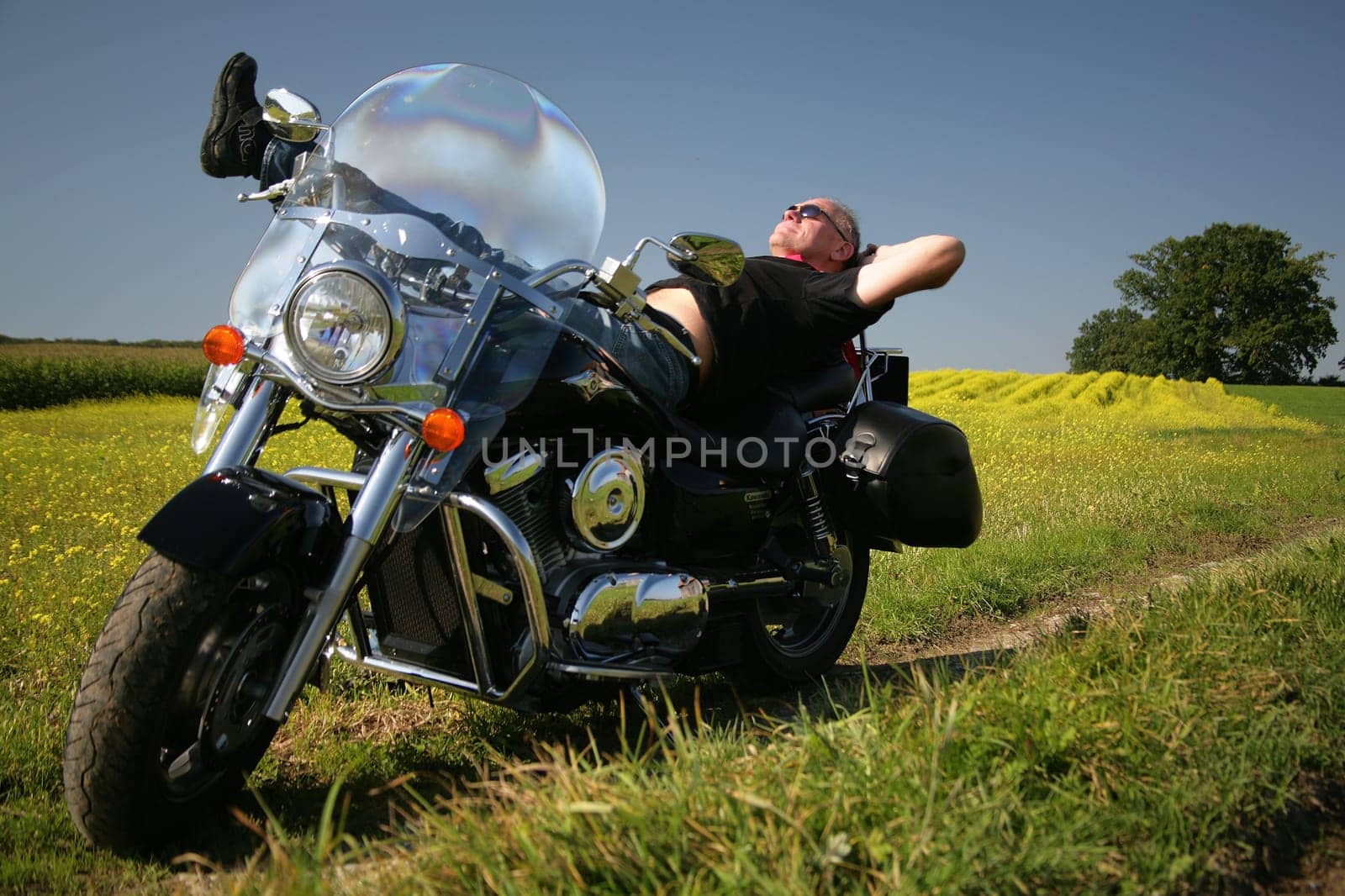 freedom