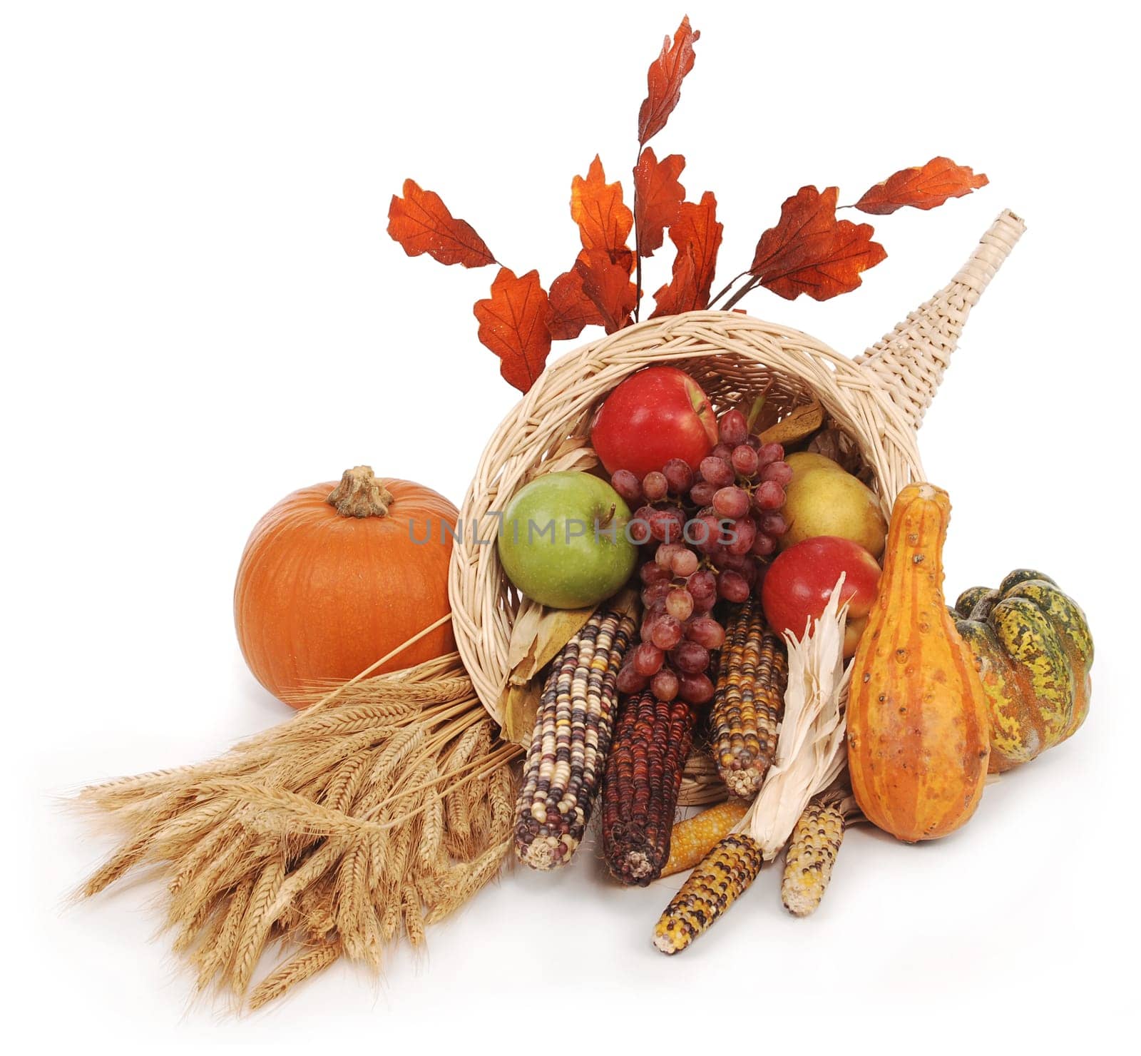 healthy nutrition