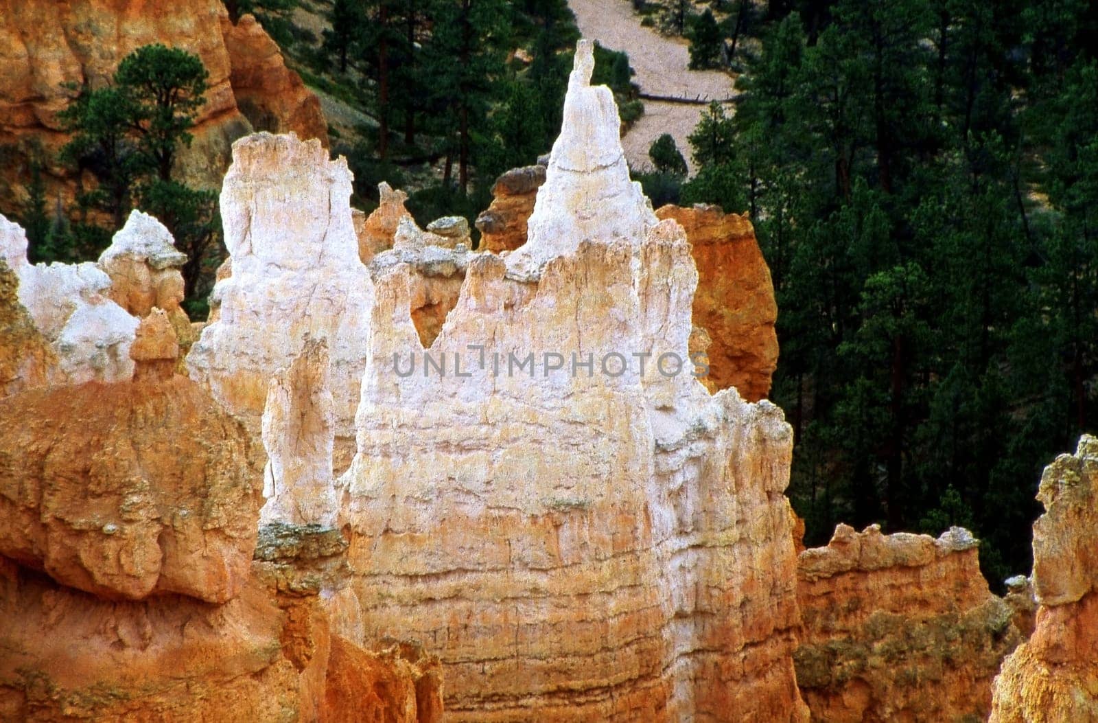 Bryce Canyon Insight