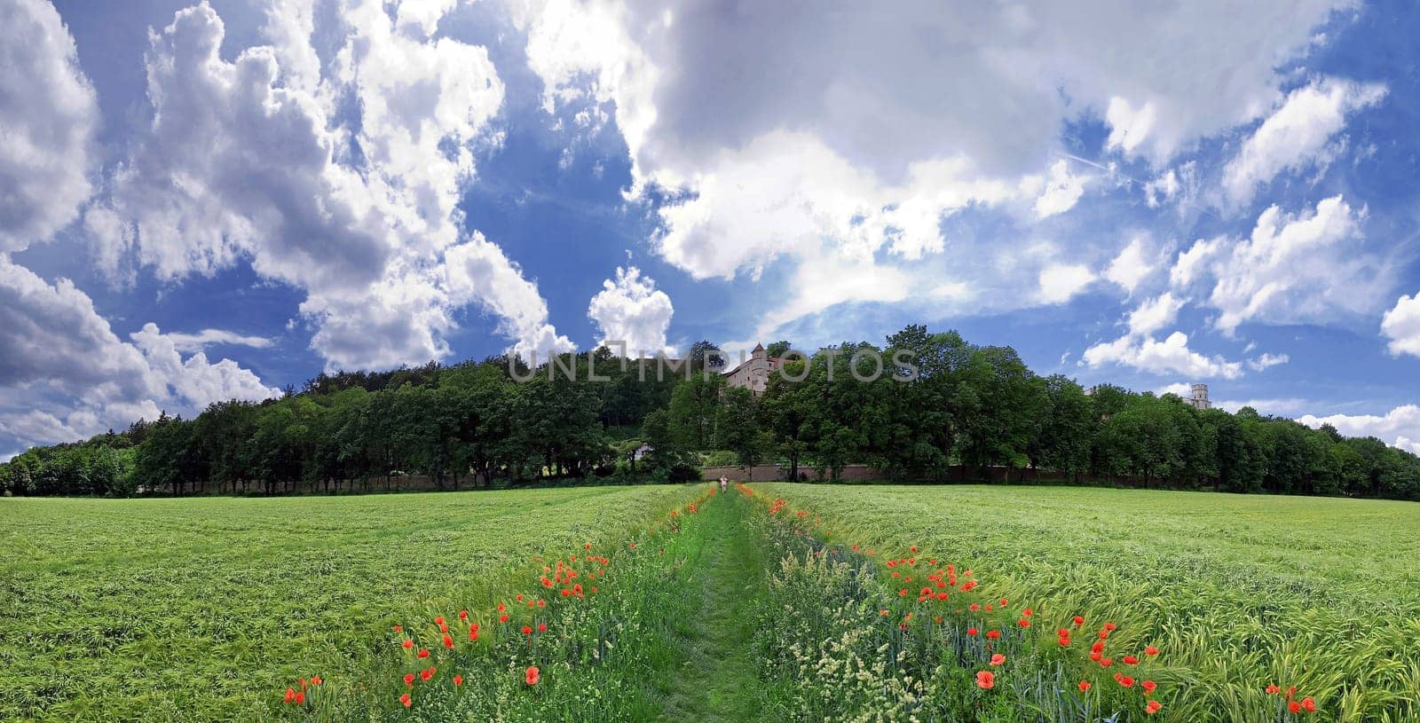 Nature Way