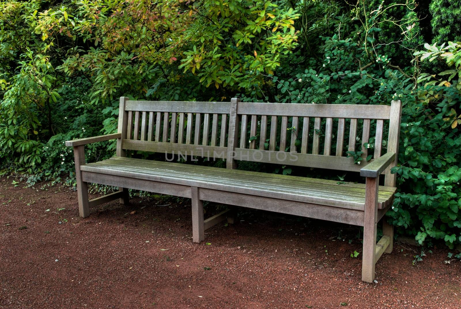 Park Bench