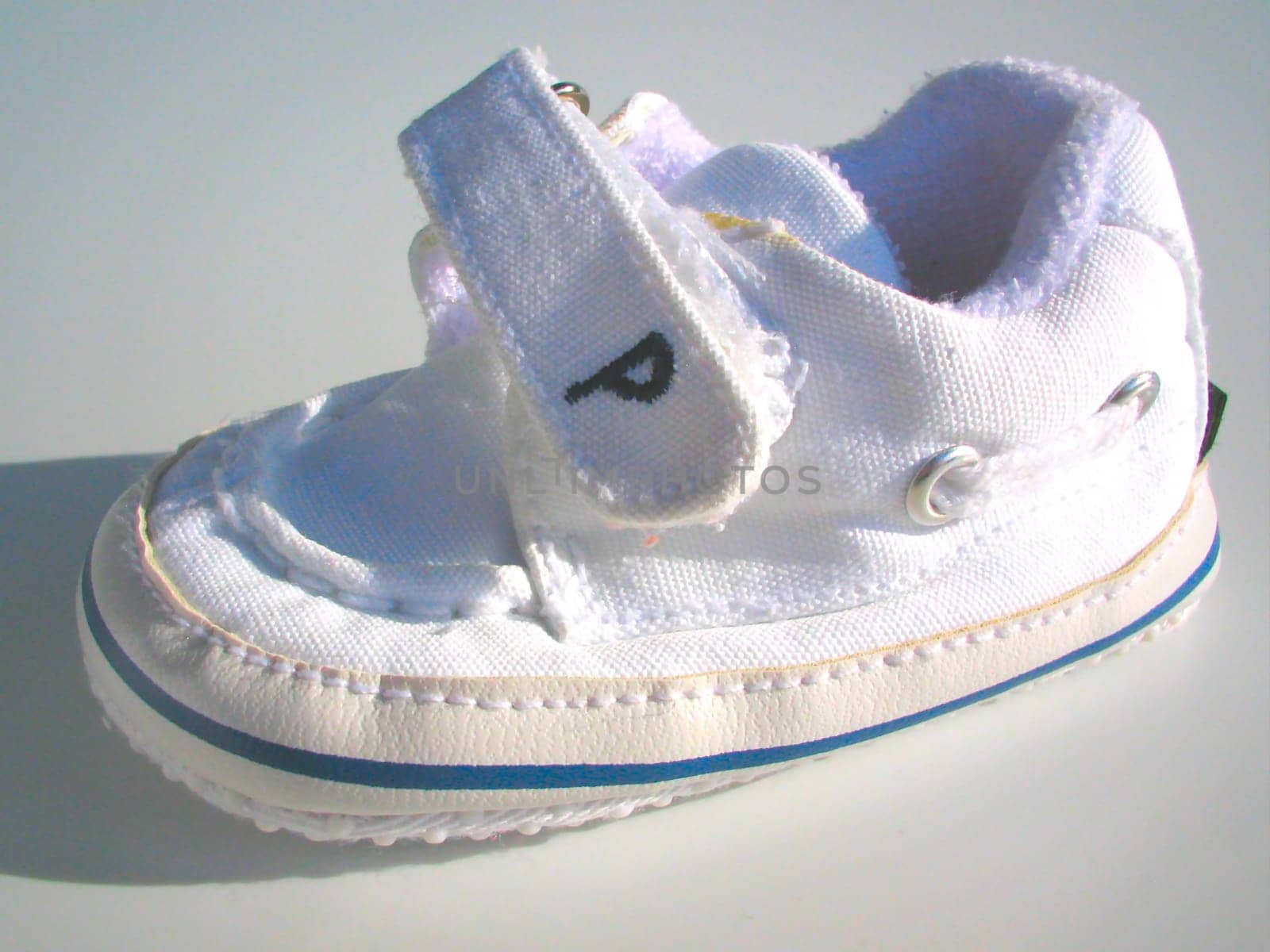 shoe