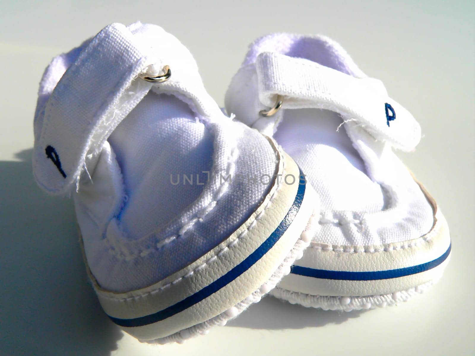 Canvas Shoes