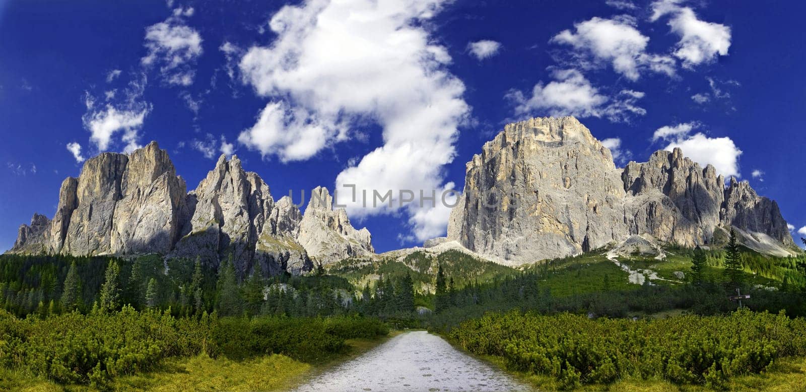 The Way