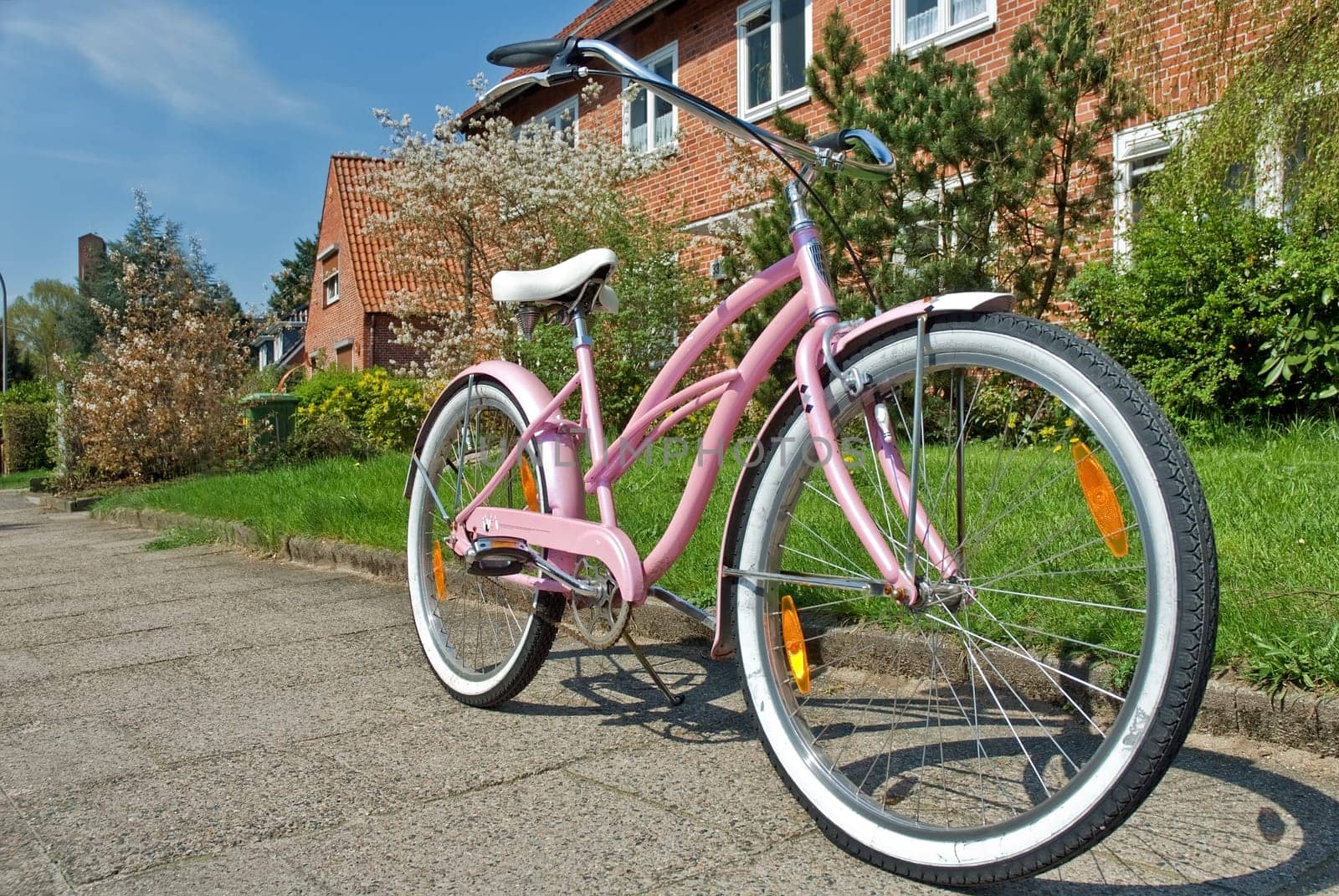 Lady in Pink