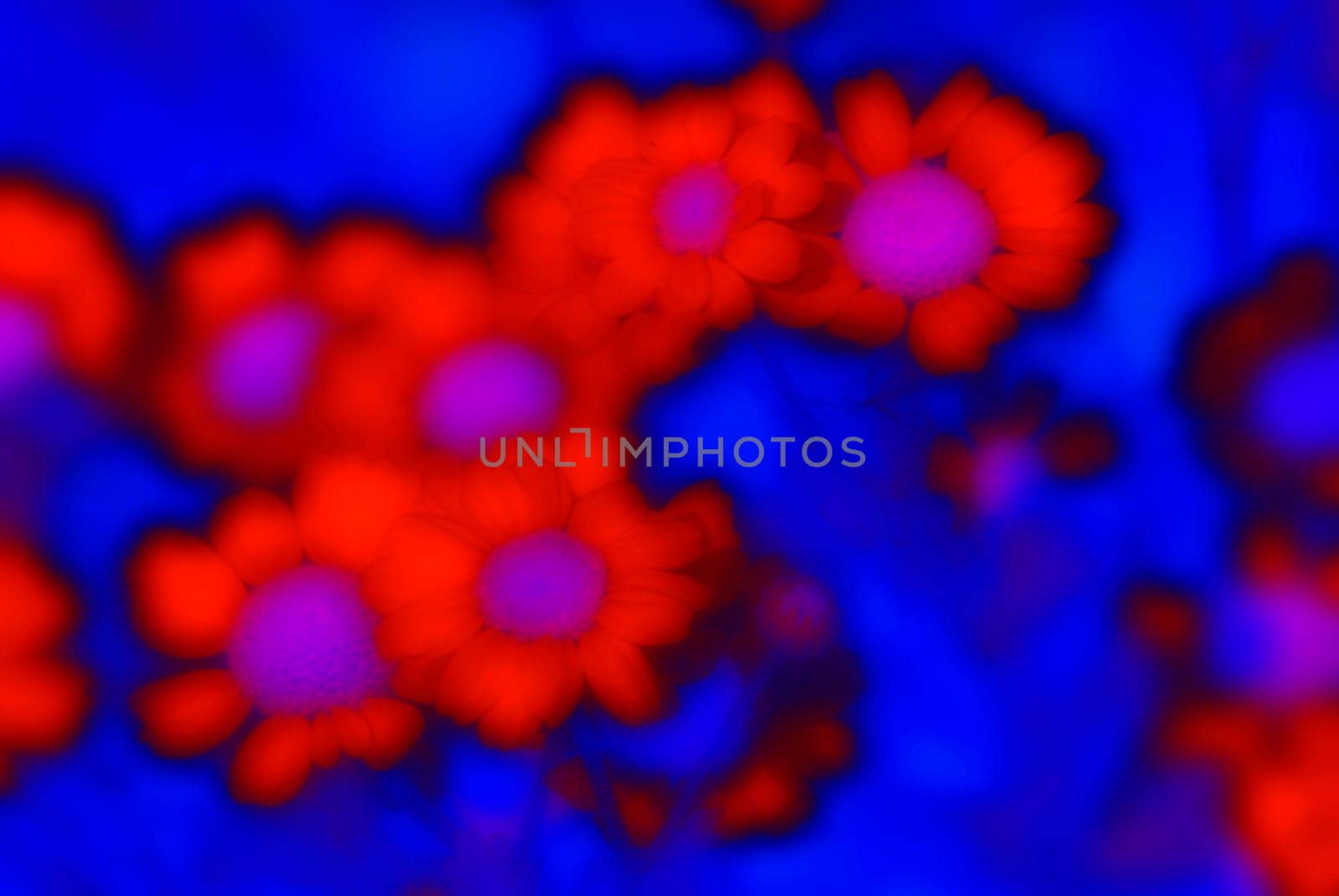 Flowers without food