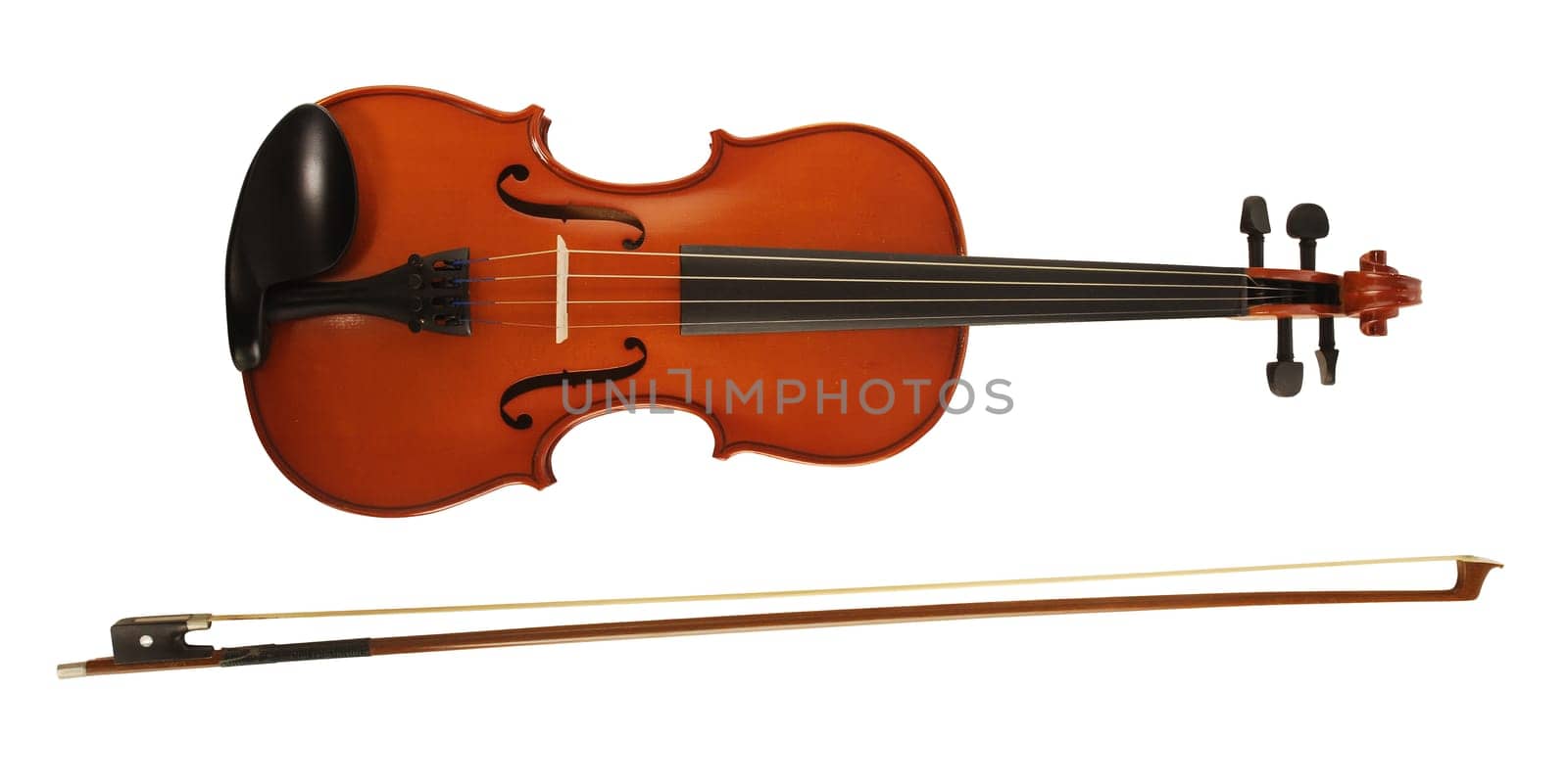 violin