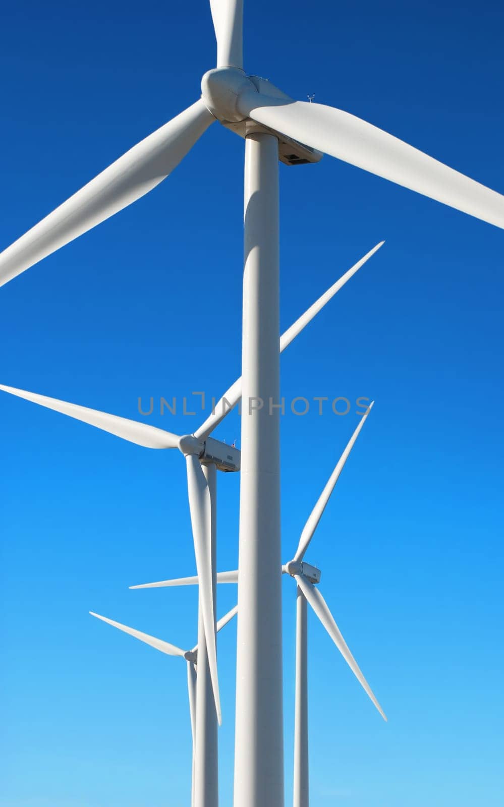windmill
