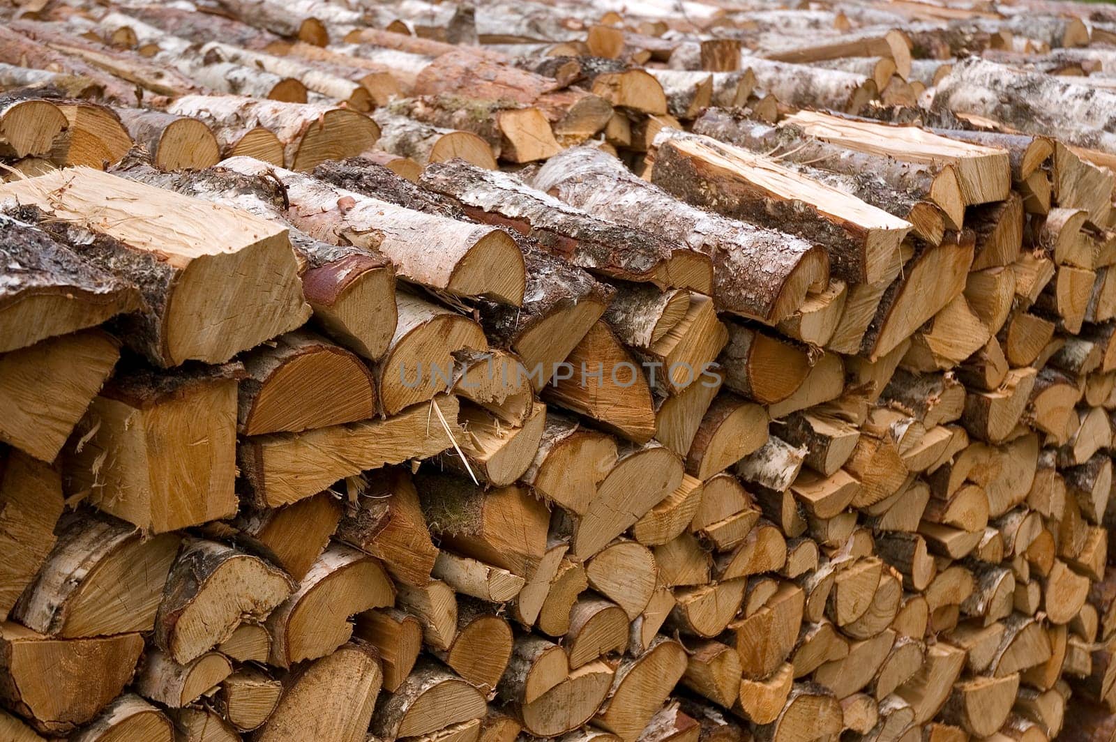 Birch wood stack