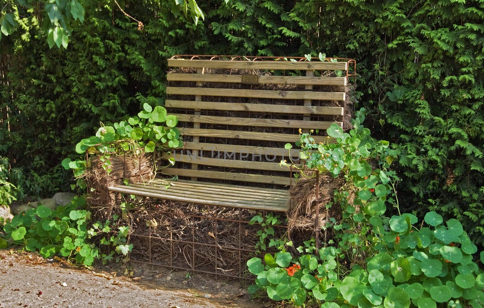 Wooden Bench