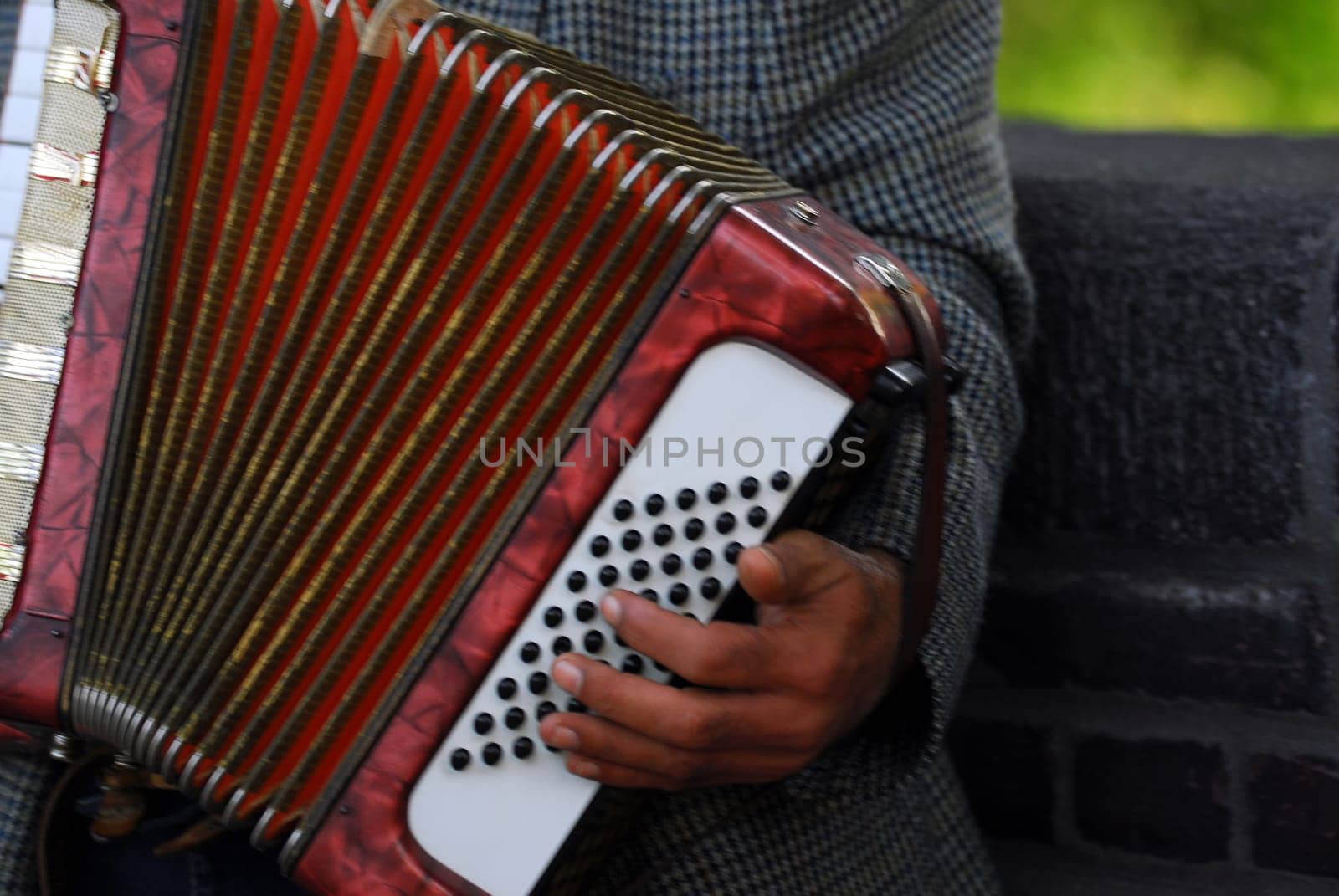 Accordion