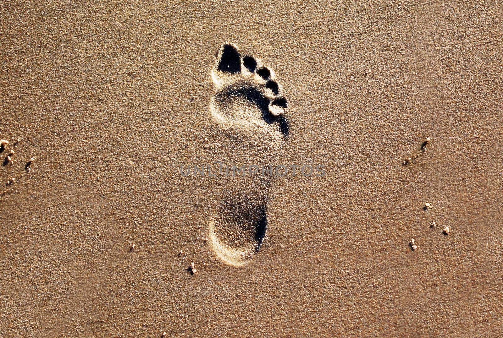 Footprints in the Sand 2