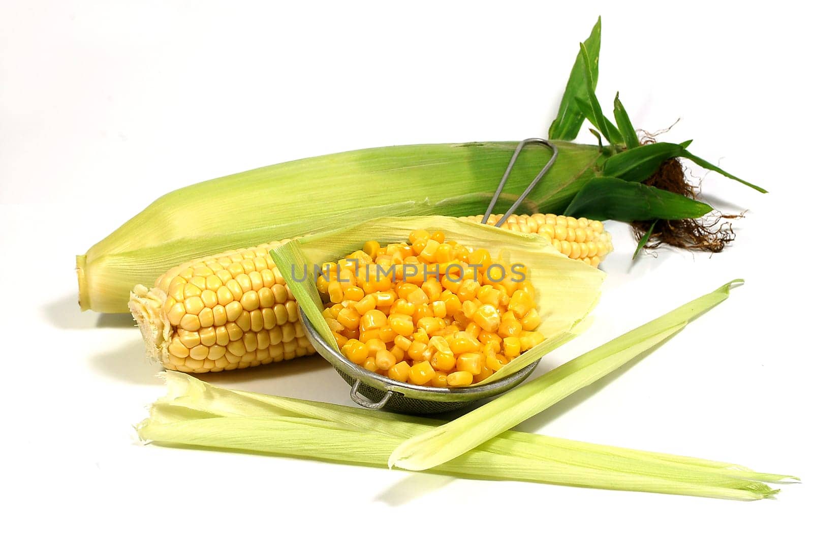 Corn