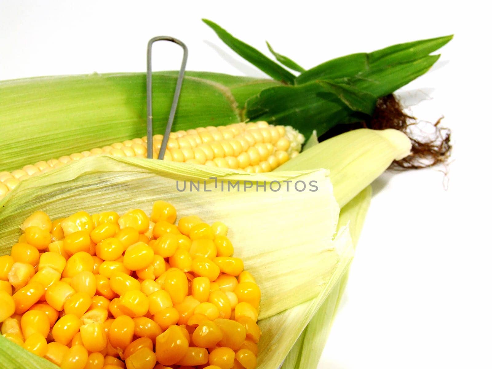 Corn