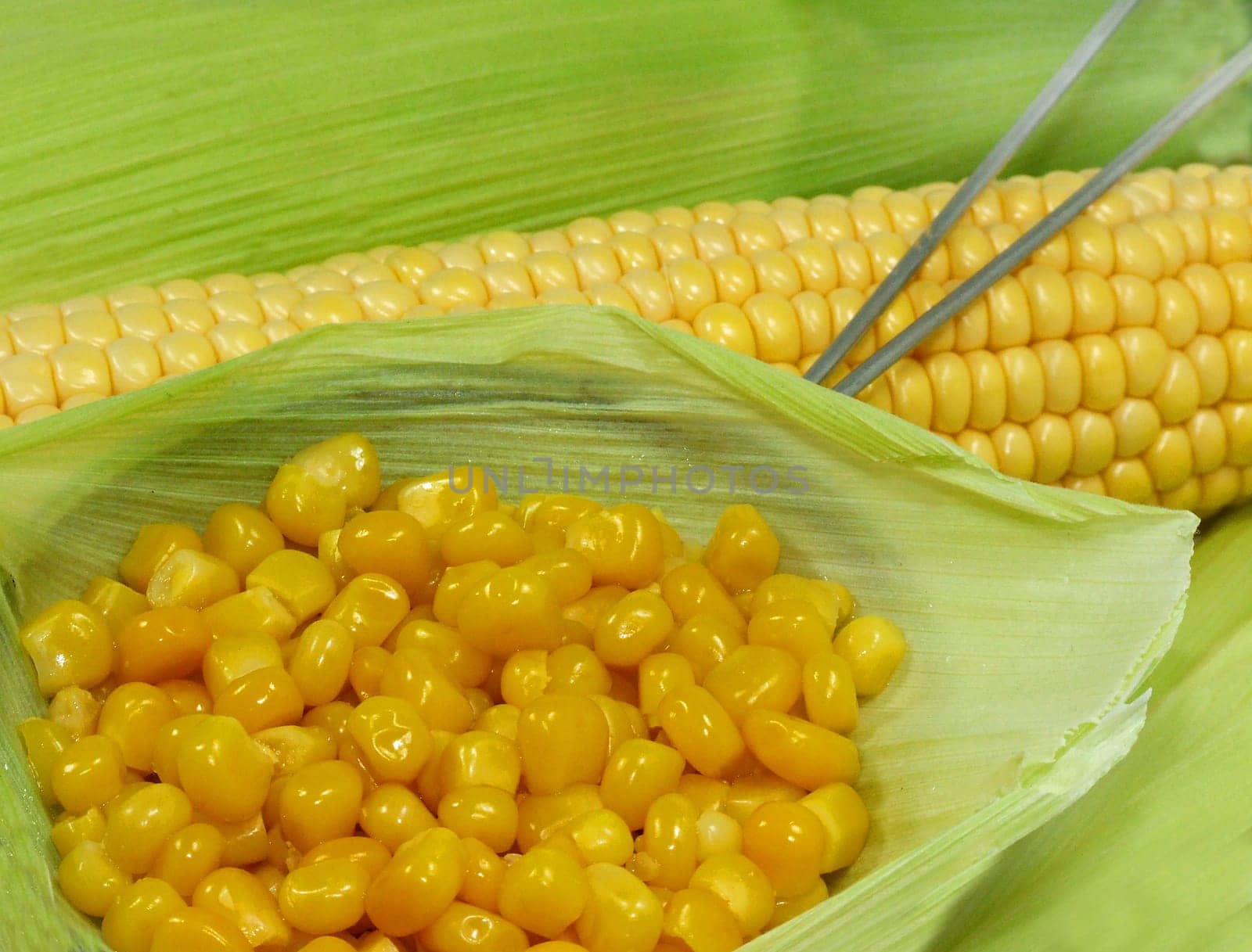 Corn
