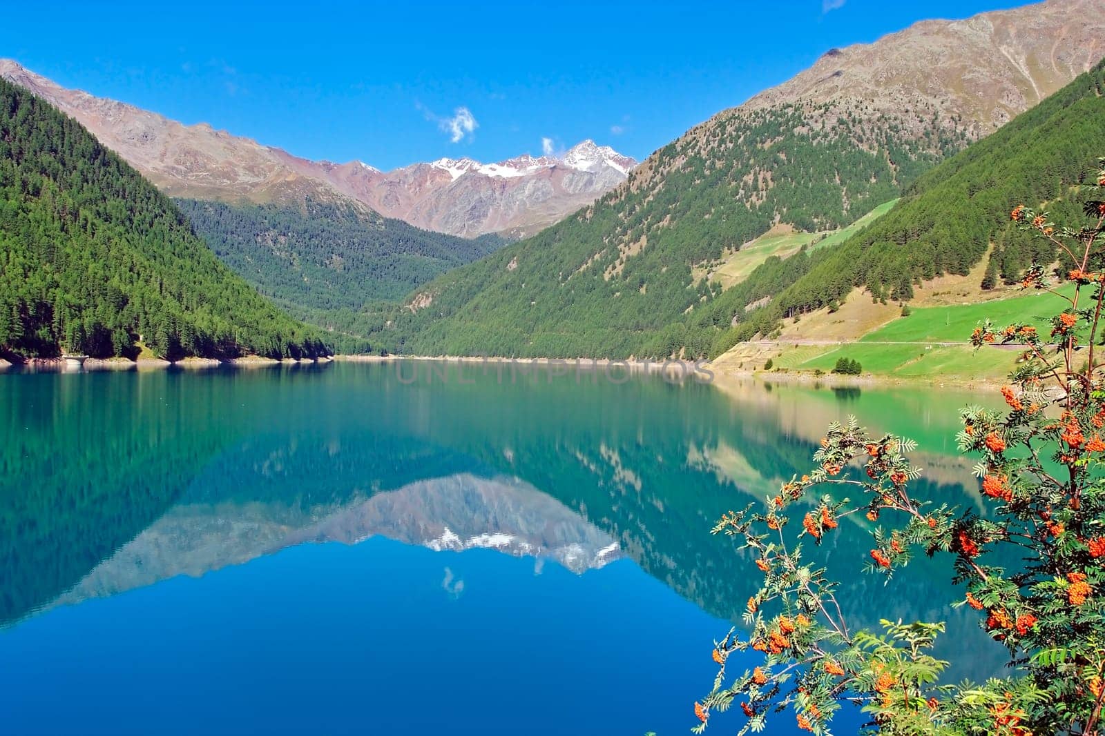 Gnawed reservoir