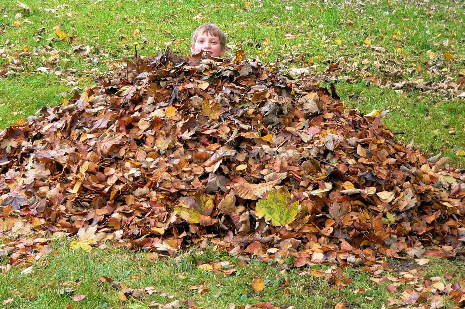 Leaf Pile Hideout