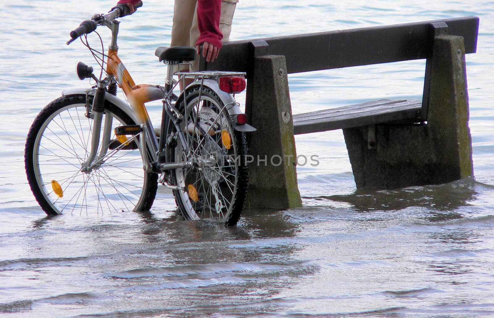 Flood