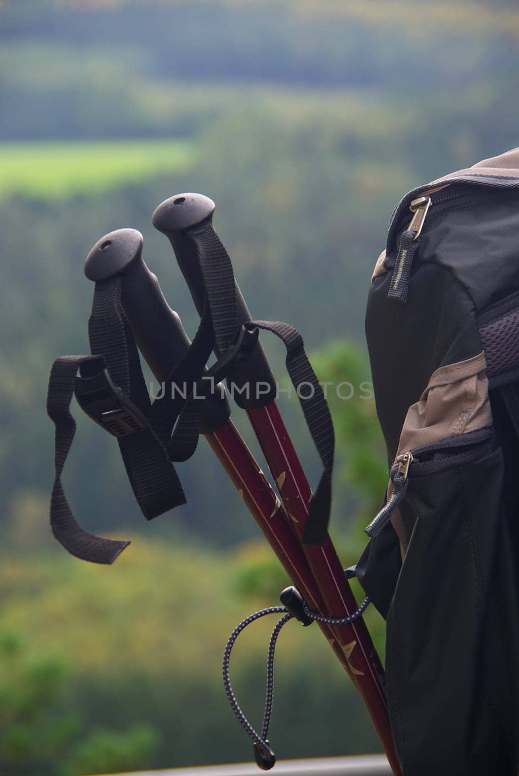 Walking Stick 01