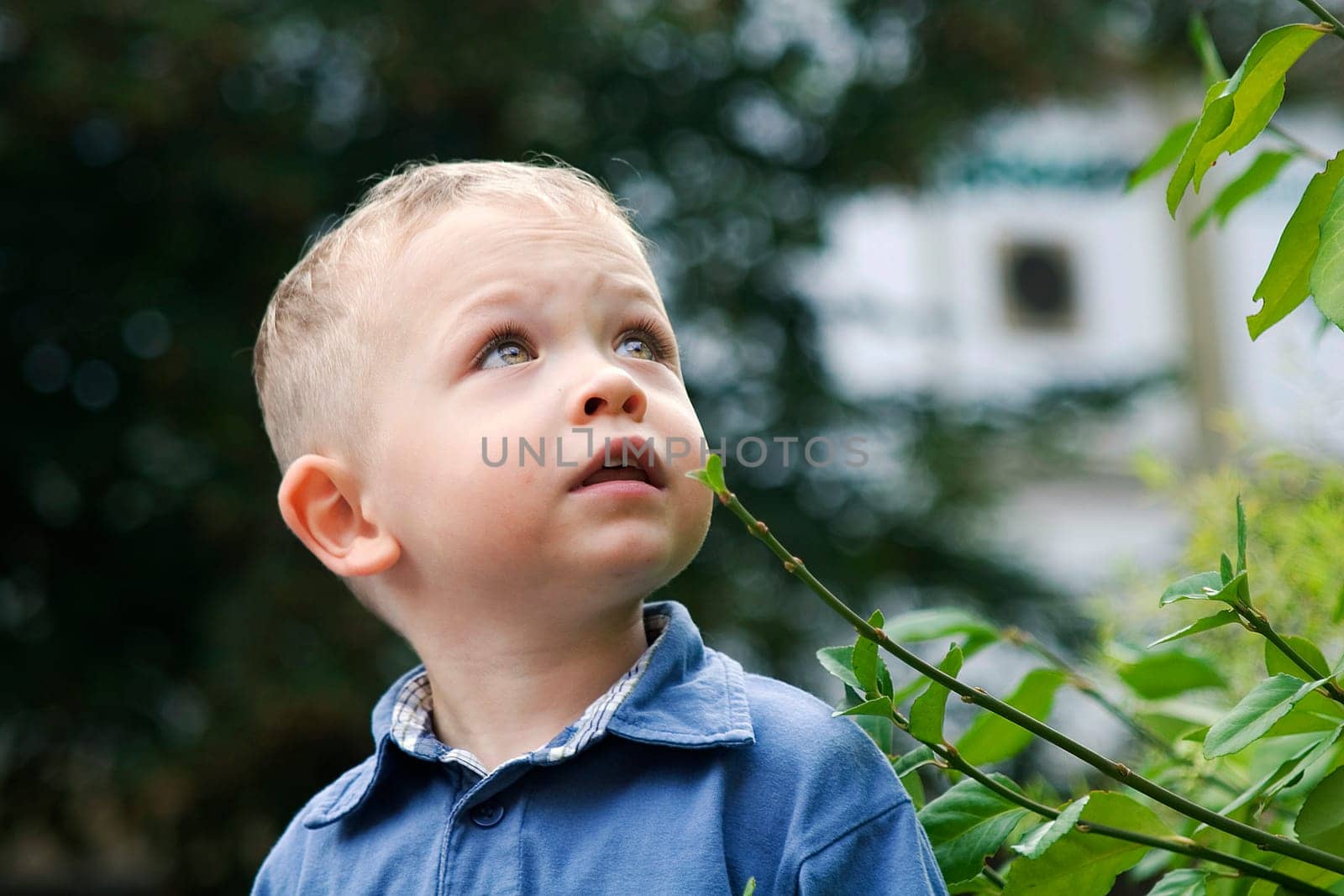 Child and bush