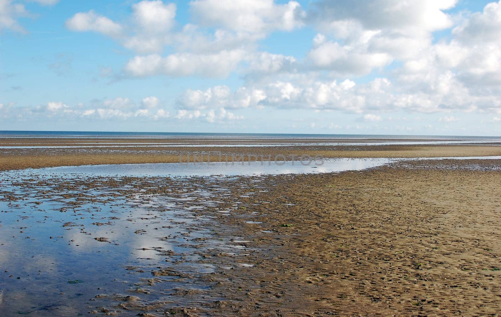 Wadden Sea 1