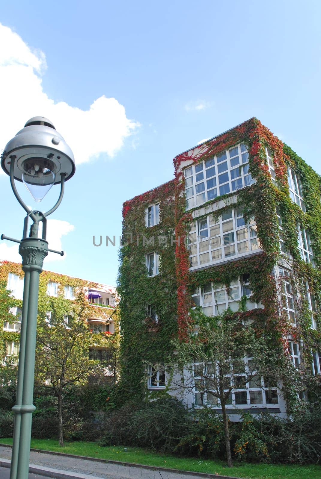 Architecture and nature