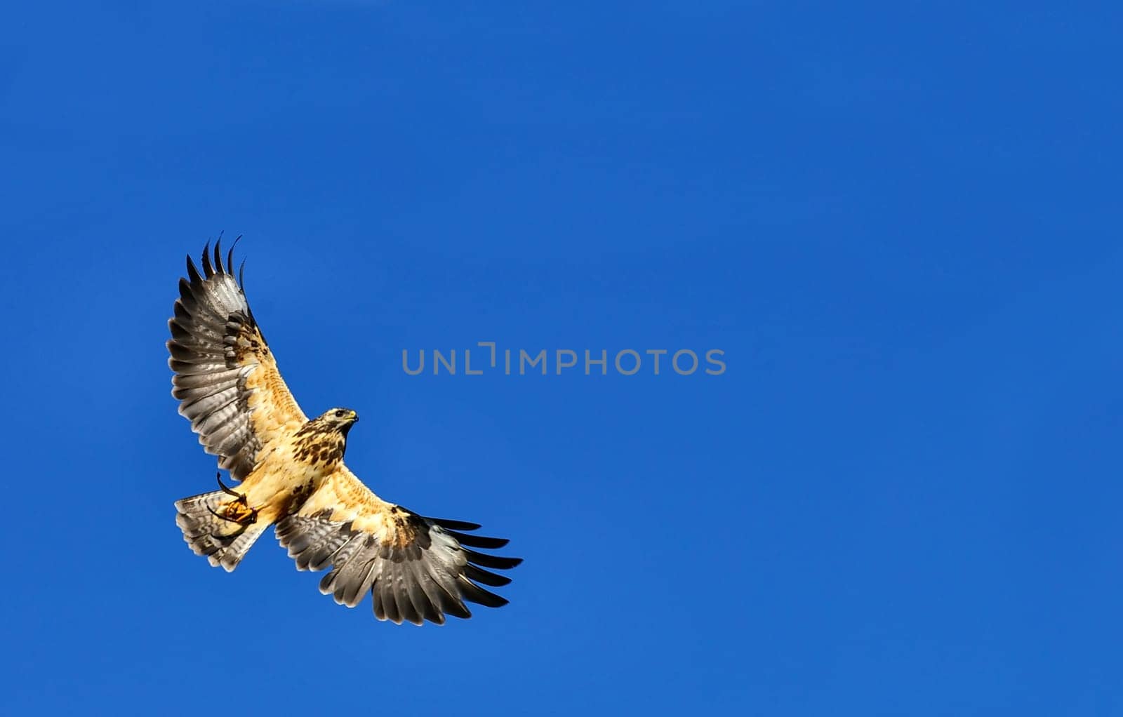 In flight