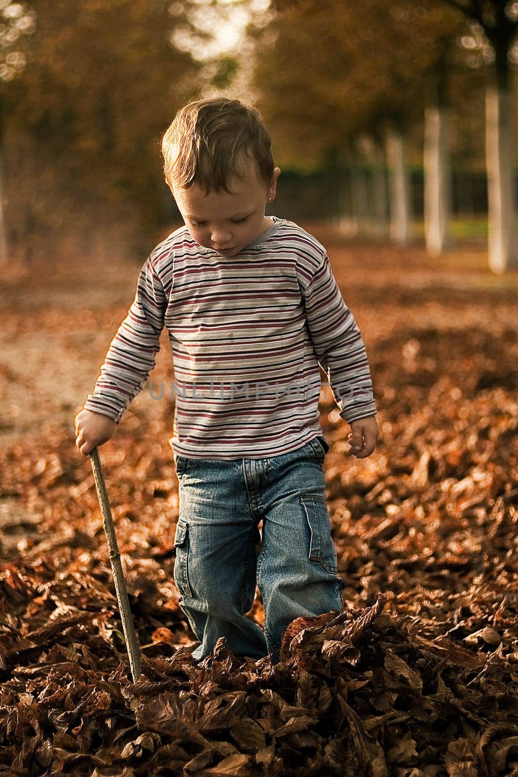 Autumn walk
