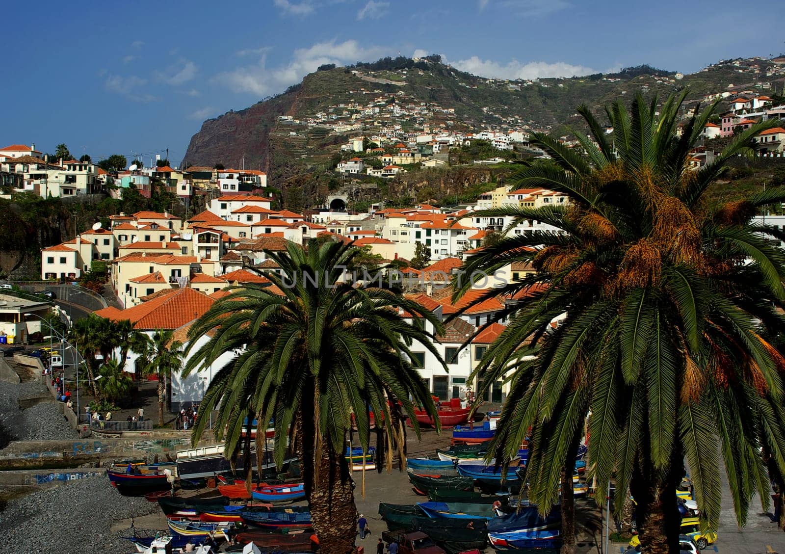 CAMARA DE LOBOS