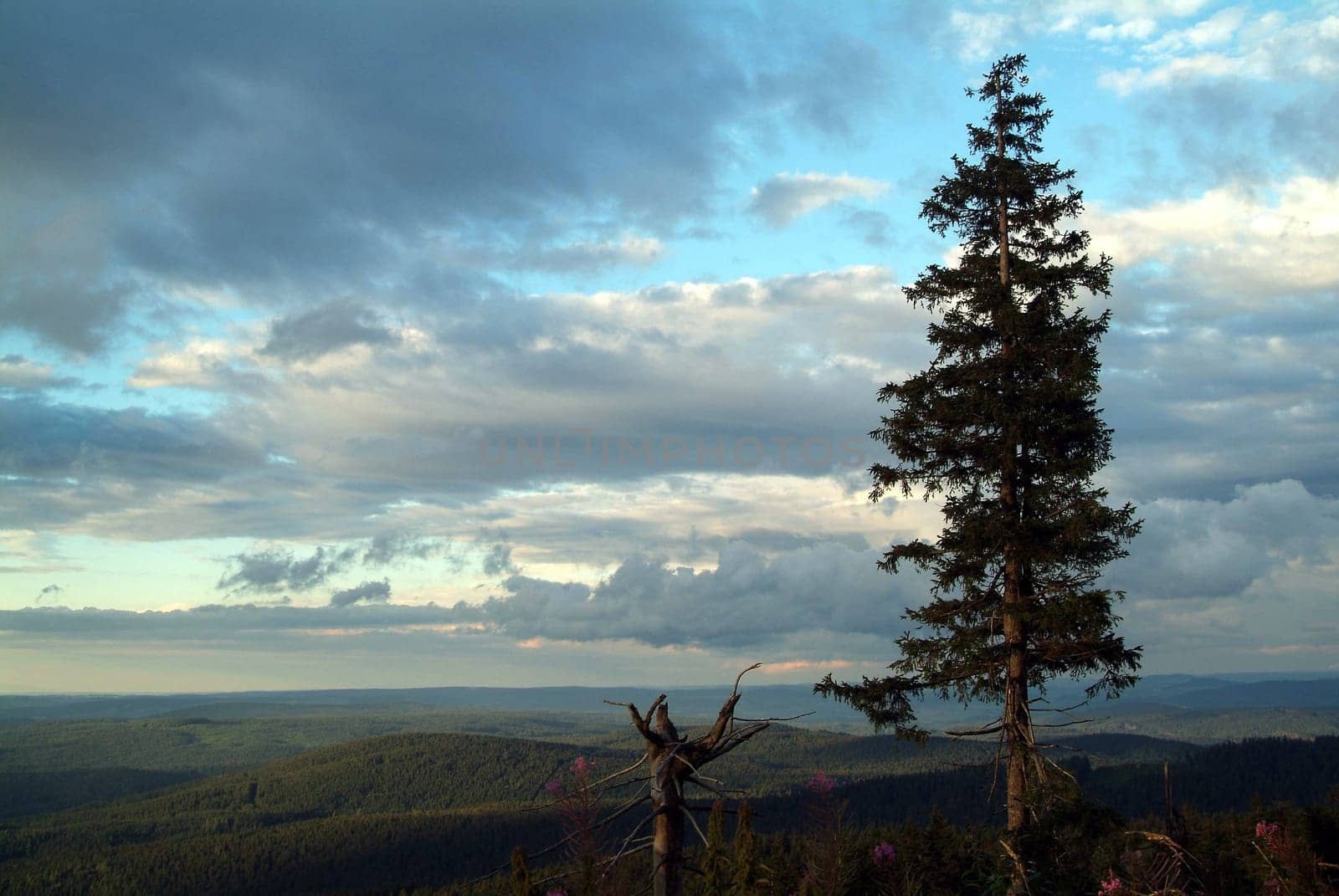 View from the Auersberg