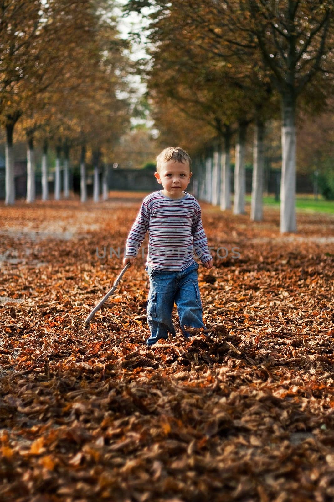 Autumn walk