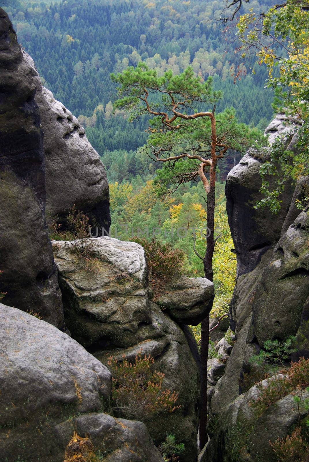 Rauenstein 07