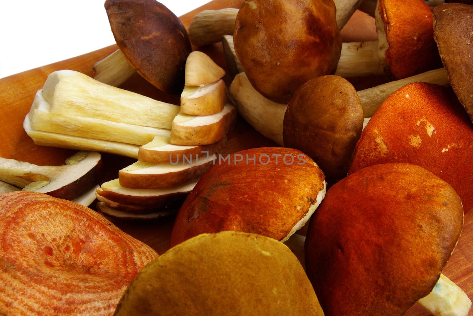 Mushroom 05