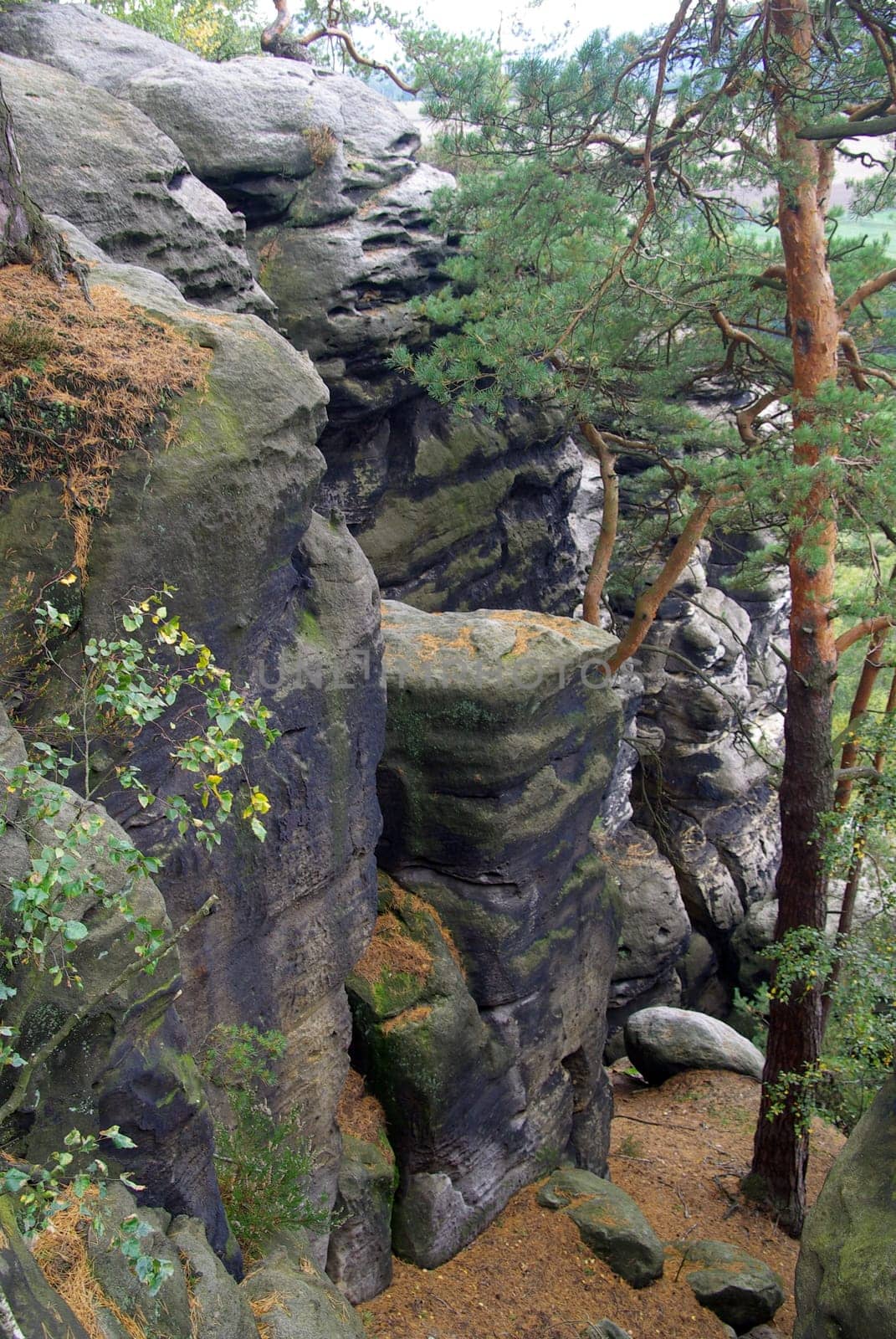 Rauenstein 01