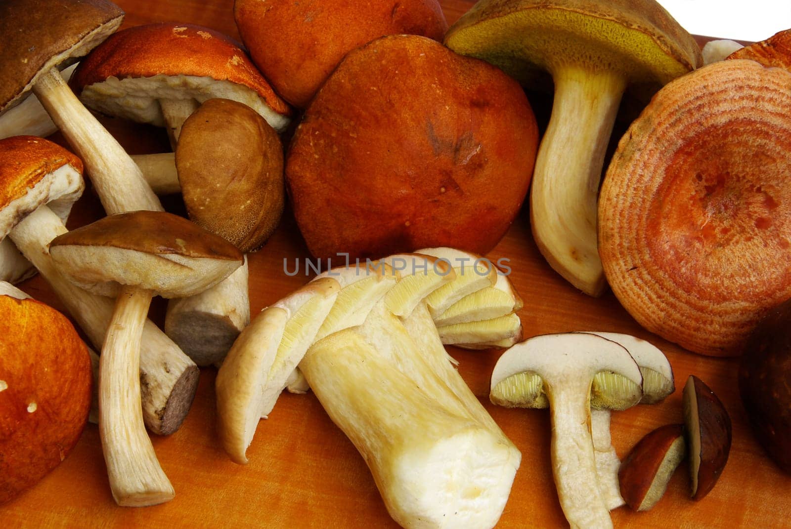 Mushroom 02