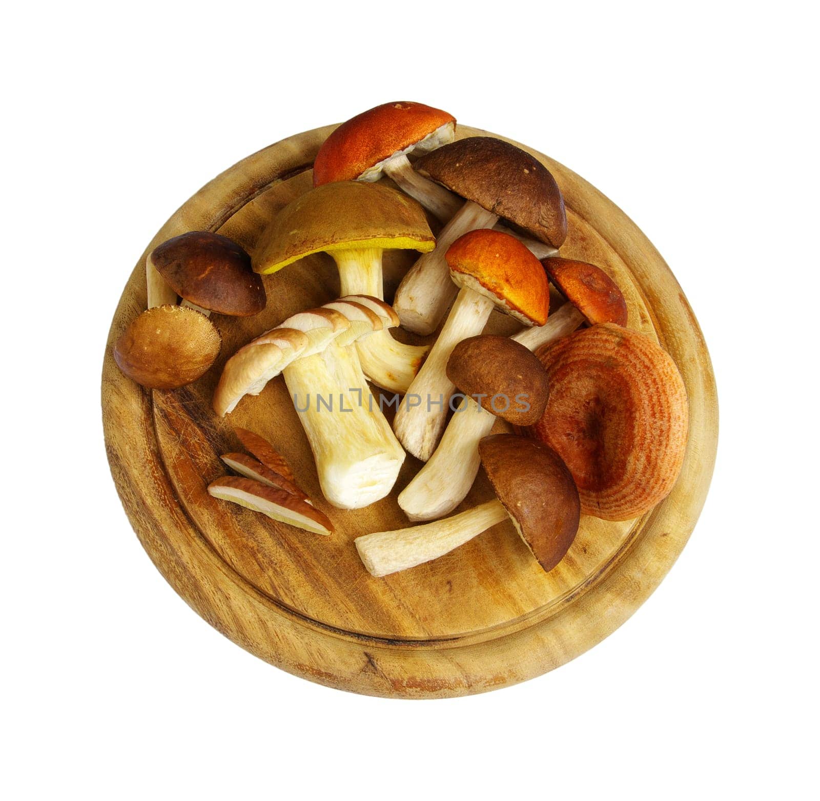Mushroom 07