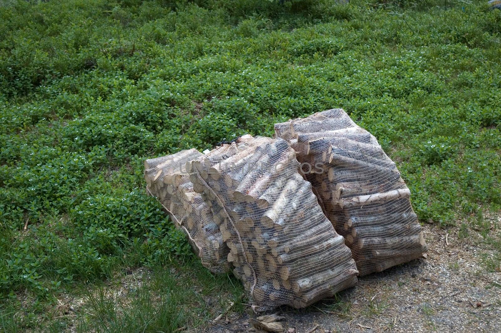 Bundle of firewood